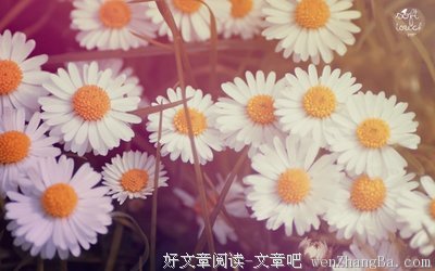 关于慈悲的唯美句子