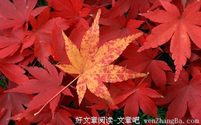 呕心沥血的名言_关于呕心沥血的名言