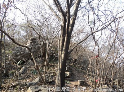 爱她就该珍惜她