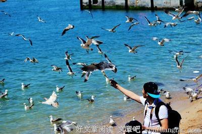 浮生半日