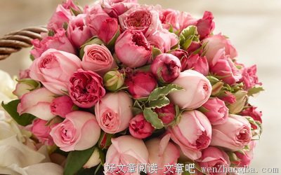阿列克谢耶维奇经典语录