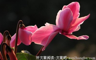关于天高地厚的格言