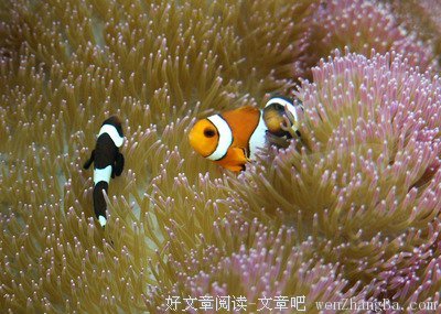 这些故事，看一看只要10分钟，忘掉可能要一辈子
