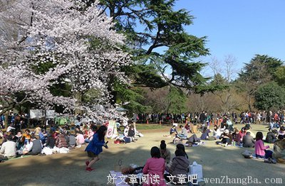 新井一二三精彩语录