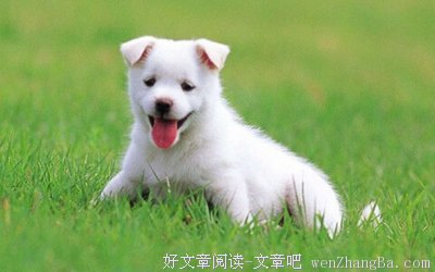 旧疾解除！2017下半年健康运势最旺的星座