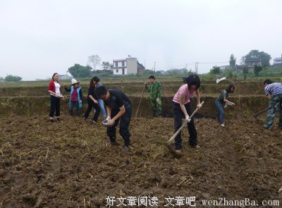 关于肥沃的语句