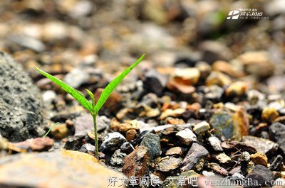 关于要紧名言名句