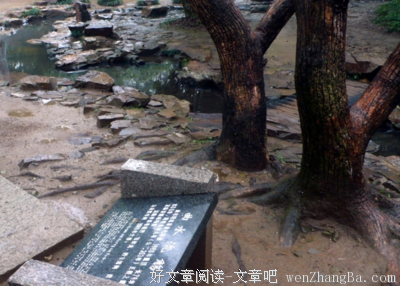 曲水流觞丨风浓雨更浓