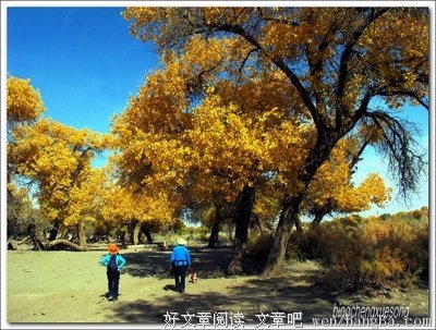 认识你真好：尽力就好（下）
