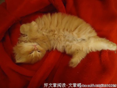 带假弟弟上班是什么感受？