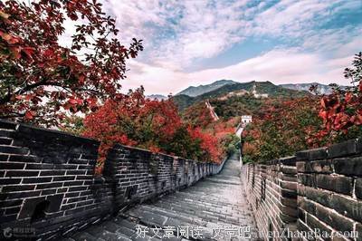 拿什么感谢你，我的孩子（感人至深）