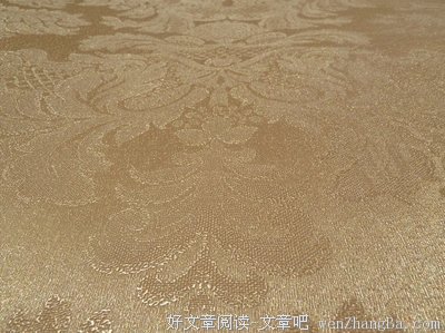 《暗花》经典观后感集