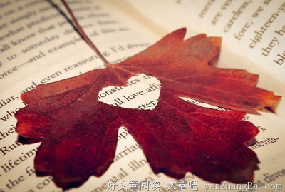 做好七件事成就你一生（深度好文）
