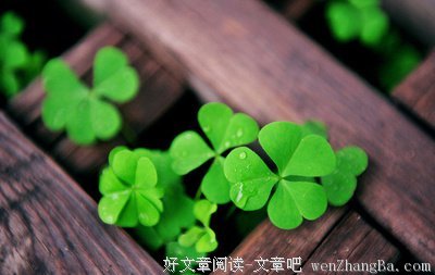 贫困的语句摘抄_关于贫困的语句