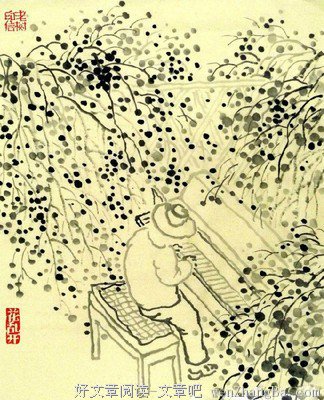 老树画画全集：与其跟人纠结，不如与花缠绵