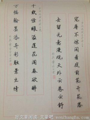 坚持100天 ，遇见更好的自己