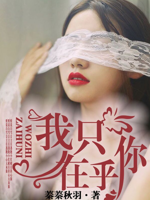 我只在乎你（小说）