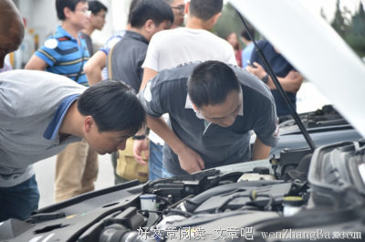 就是这个小镇，每年接待自身人口20倍的游客，他们的目的只是来寻