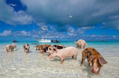 巨蟹这么做，就是走了心