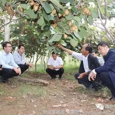 我与王木木的日常集锦13