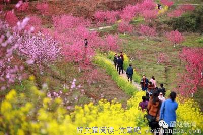 认识你真好：神若帮助我们，谁能抵挡我们呢？（上）