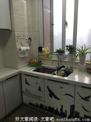 婆婆绝望跳河评论区炸了，为什么戏精婆婆那么多