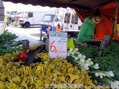 市场的逻辑读后感10篇