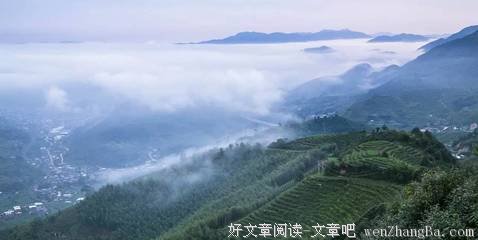 古韵悠扬丨避得青丝从白露，将心安放春深处