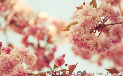 《场记》读后感精选10篇