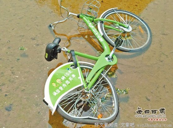 共享单车，中国商人无耻的照妖镜