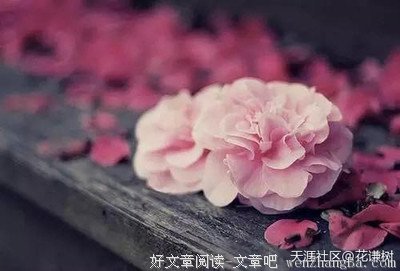 朗诵丨你微微一笑，我倾城怒放