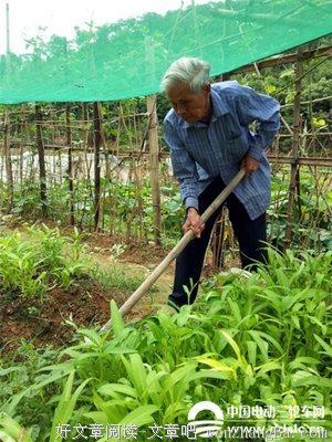 老人住别墅种菜用粪便施肥，家人嫌弃邻居绕道，咋办？