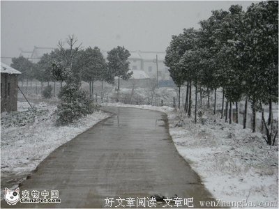 今日小雪，气象局紧急通知！小雪后最罕见的天气预报！千年难遇！