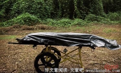 虐童，性侵……怎么办……我心里真的好难受……丨青音对话李明