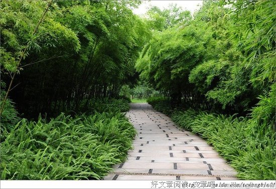 《晃晃悠悠》的读后感10篇