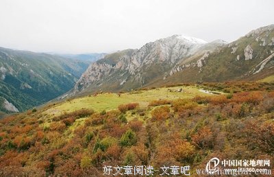 《台湾,请听我说》读后感精选10篇