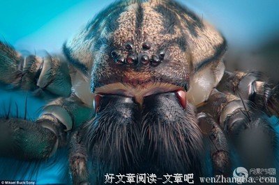 潜伏在你心里的怪物