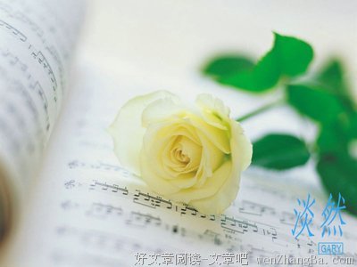 诗意美文丨 ∮ 播一粒淡然，收一仓静安