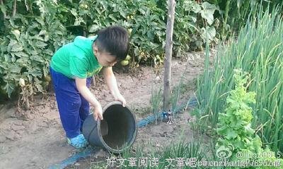 &quot;爸爸妈妈，你们为什么要去上班?&quot;你的回答，决
