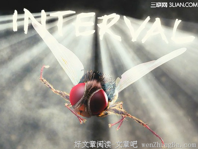 《功夫小蝇》经典影评10篇