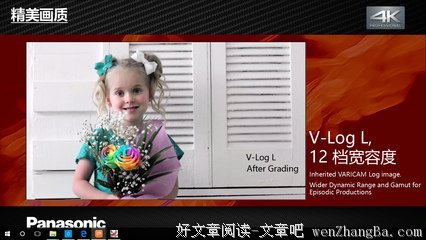 闯入者的读后感10篇