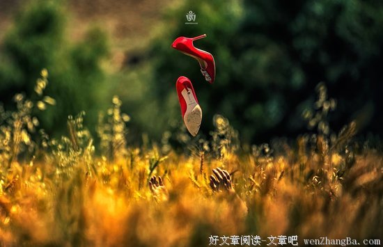 有关六道的美句摘抄