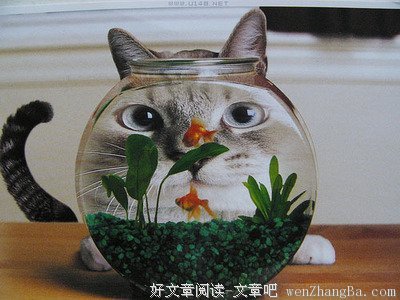 【解忧】一个男人爱不爱你，就看这几点