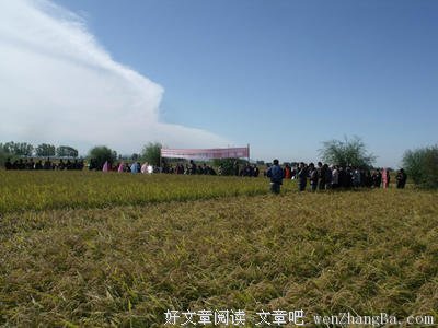 关于中龙的语句