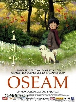 《五岁庵》经典观后感集