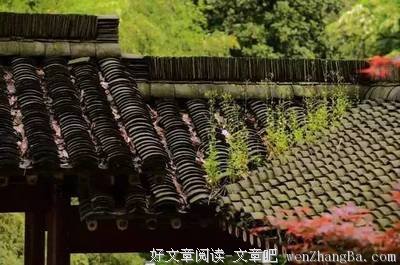 人的一生有两件事不能做