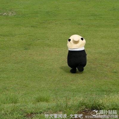 关于五花八门的唯美语录
