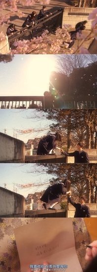 《不结婚》的影评10篇