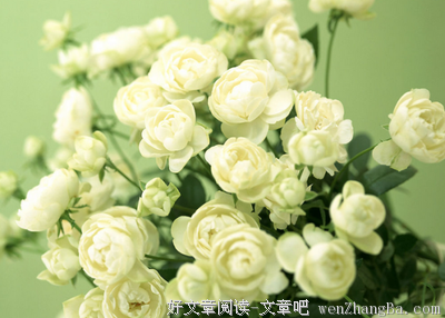 女人哪里逃？ 吃我文艺一棒！