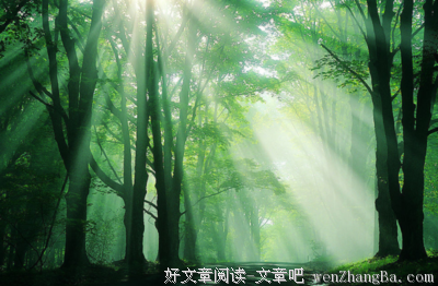 音药 